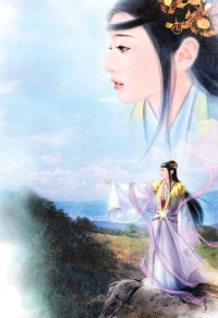 第五部队之海盗王